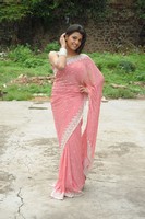 Tashu Kaushik Saree Photos